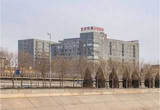 宁波法律翻译精英