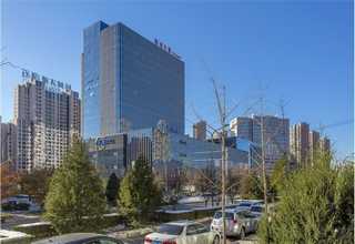 上海长袖定制polo衫