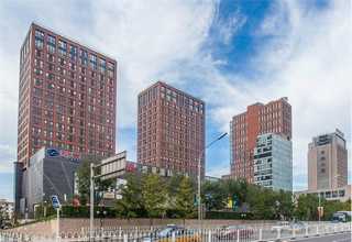 松江区合流滚筒输送机费用