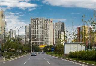 内蒙古精密裁板合金锯片价格