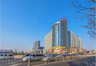 上海原装进口片基带欢迎选购